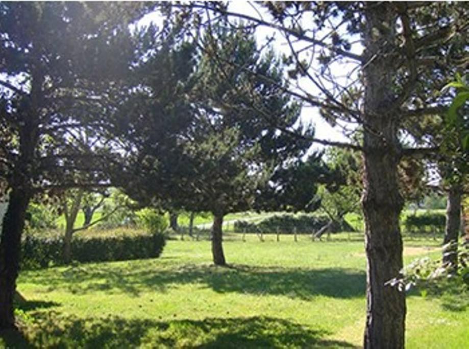 Gites Chez Belliveau Meursac Dış mekan fotoğraf