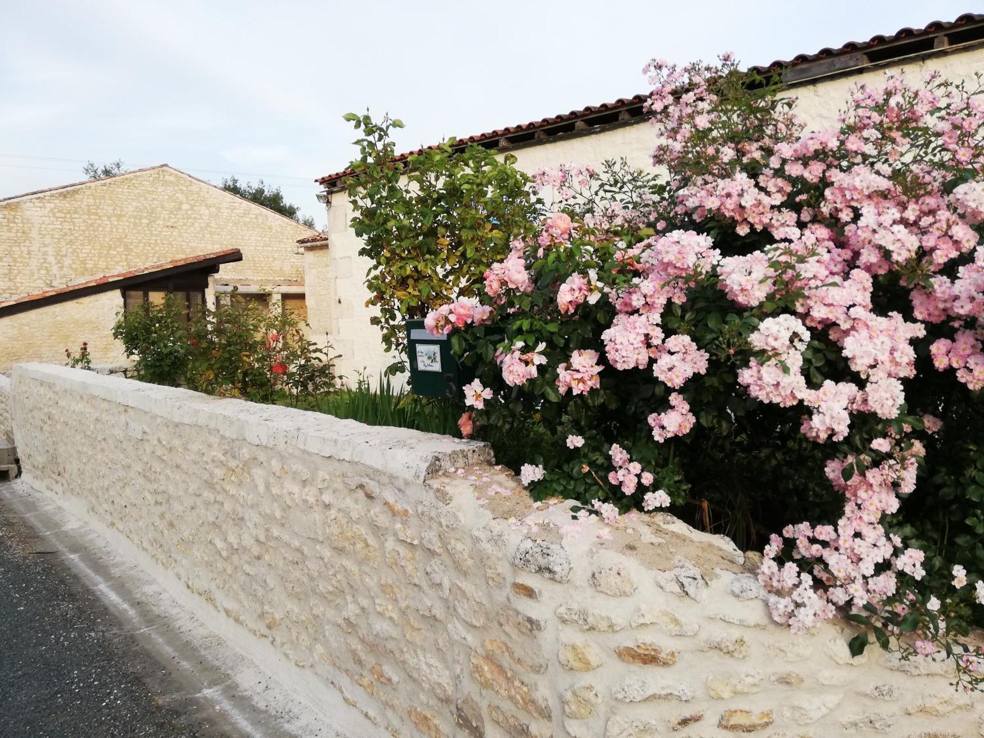 Gites Chez Belliveau Meursac Dış mekan fotoğraf
