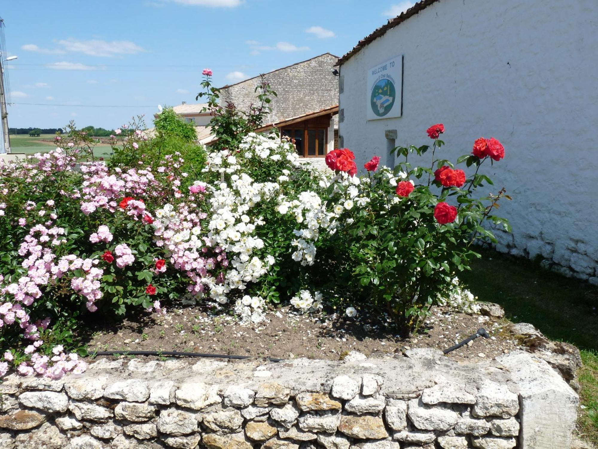 Gites Chez Belliveau Meursac Dış mekan fotoğraf