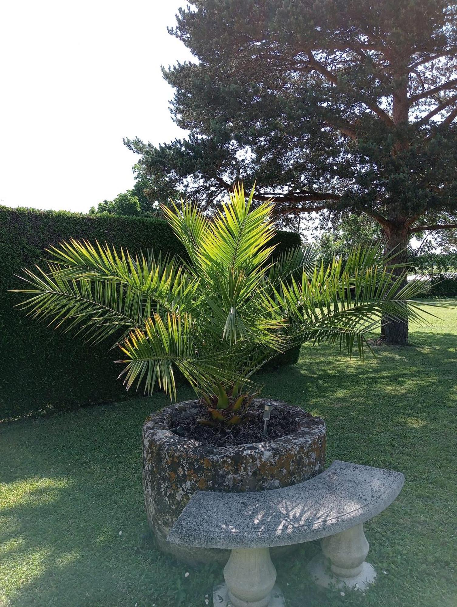 Gites Chez Belliveau Meursac Dış mekan fotoğraf