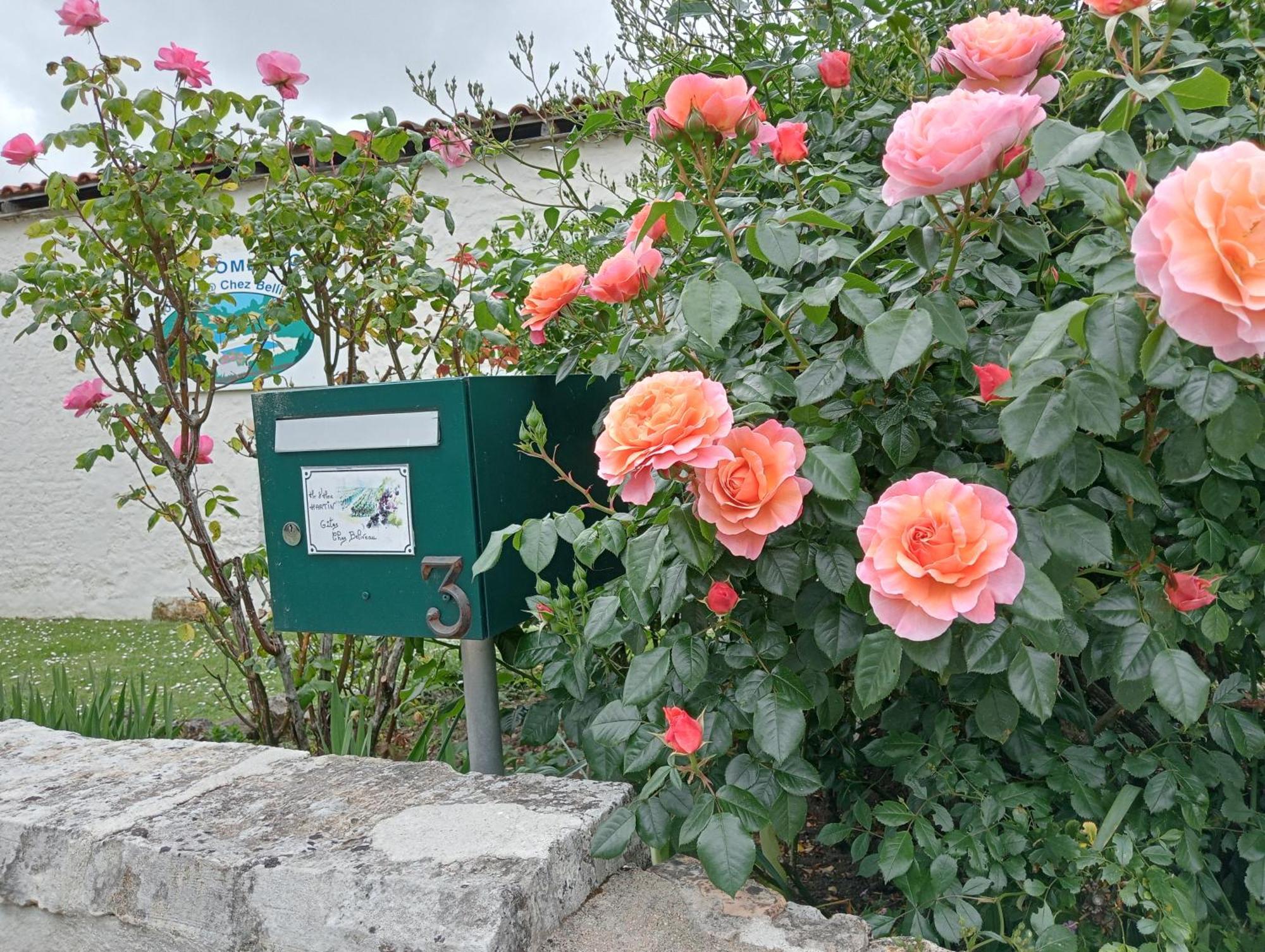 Gites Chez Belliveau Meursac Dış mekan fotoğraf