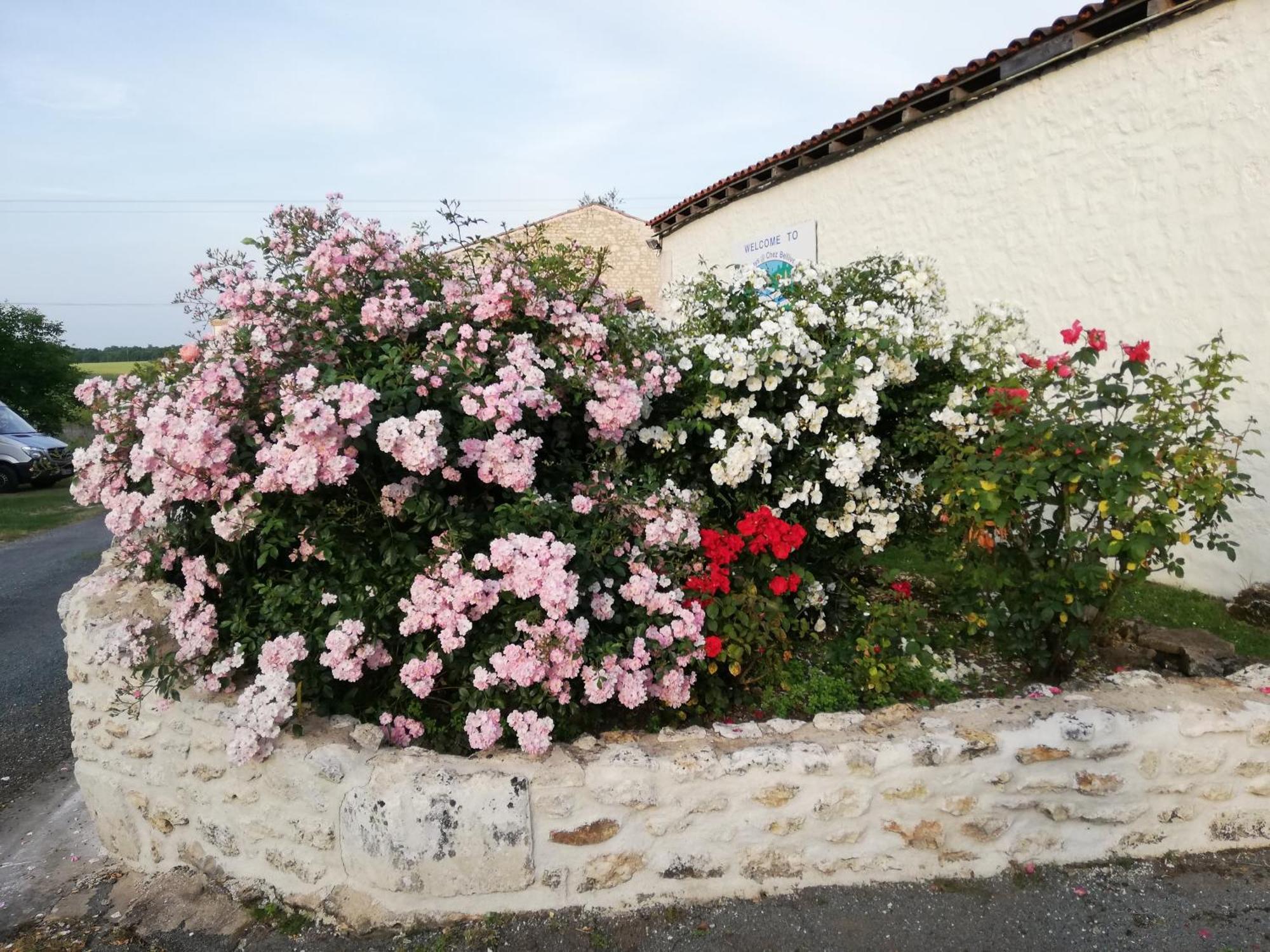 Gites Chez Belliveau Meursac Dış mekan fotoğraf